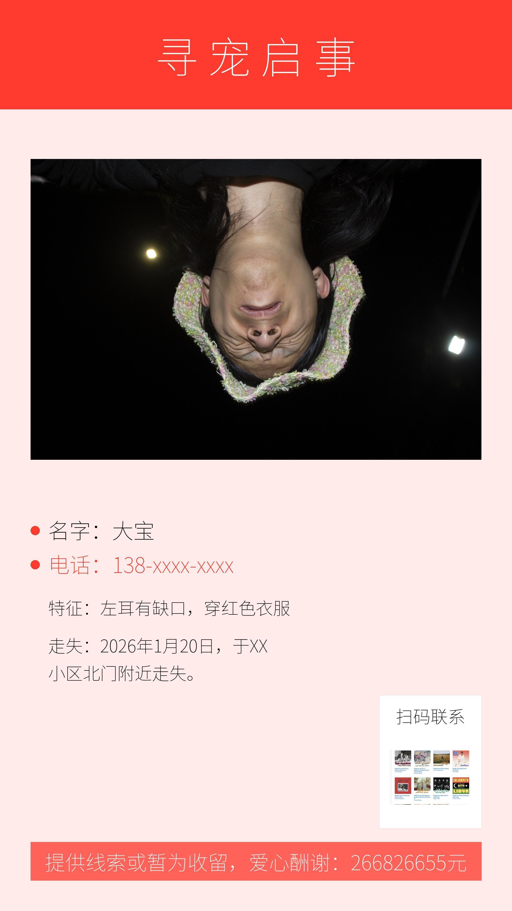 生成海报样式 / Poster Outputs